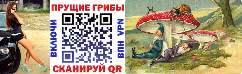 Псилоцибиновые грибы Cubensis  Купить  Биробиджан 